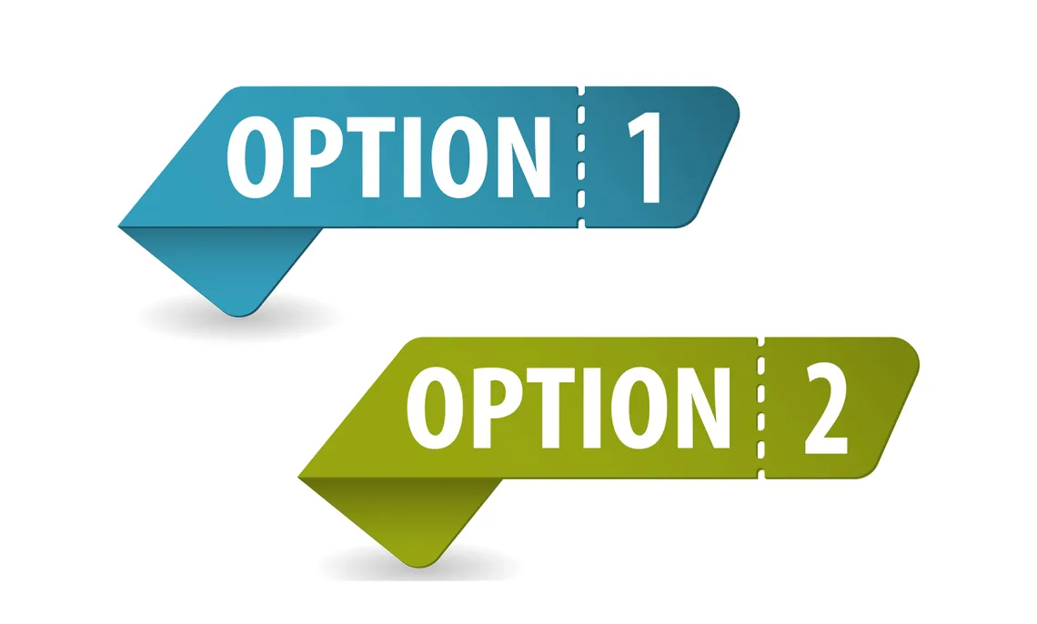 text reads: option1, option 2, with blue and green background