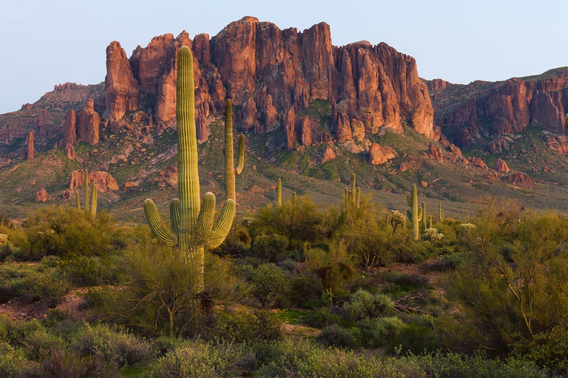 Superstition Mountain at Sunset in Arizona. Saguaro cactus in foreground
