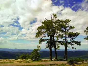 Rural Landscape Scenery for Annual Report